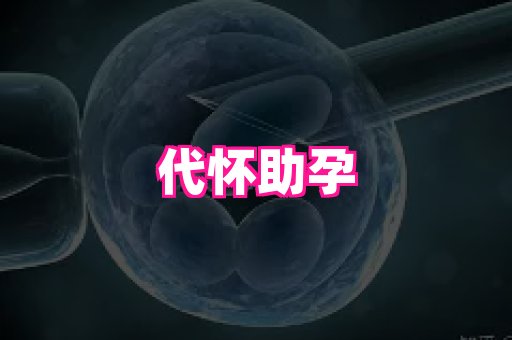 天津助孕网站 2